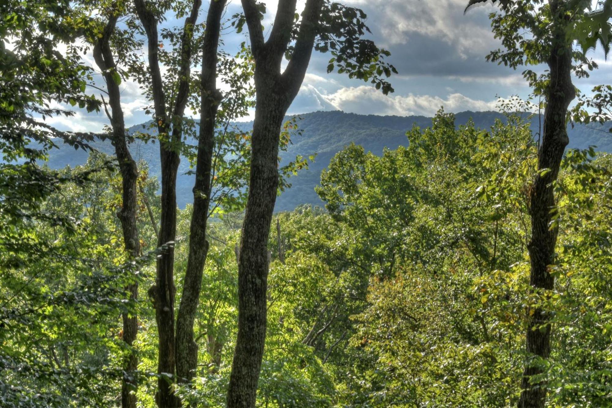 Bearfoot Ridge Wood-Burning Fireplace Cozy Hot Tub Serene Views 埃利杰 外观 照片